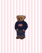 Polo Teddy